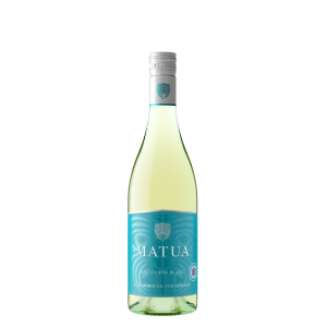 product-main-img-2065.png
